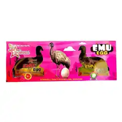 Emu Egg